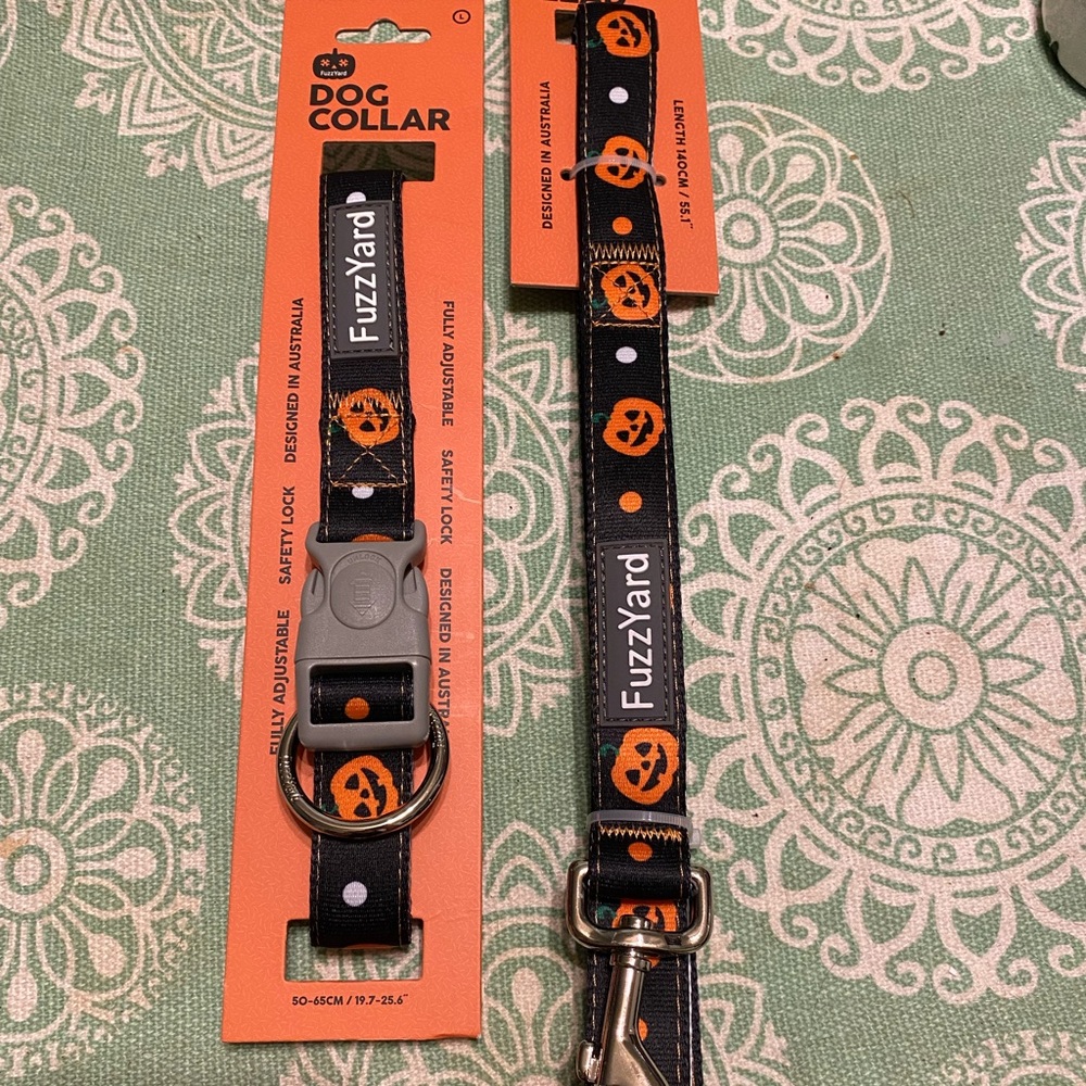 Halloween Pumpkin Dog Collar & Leash Set